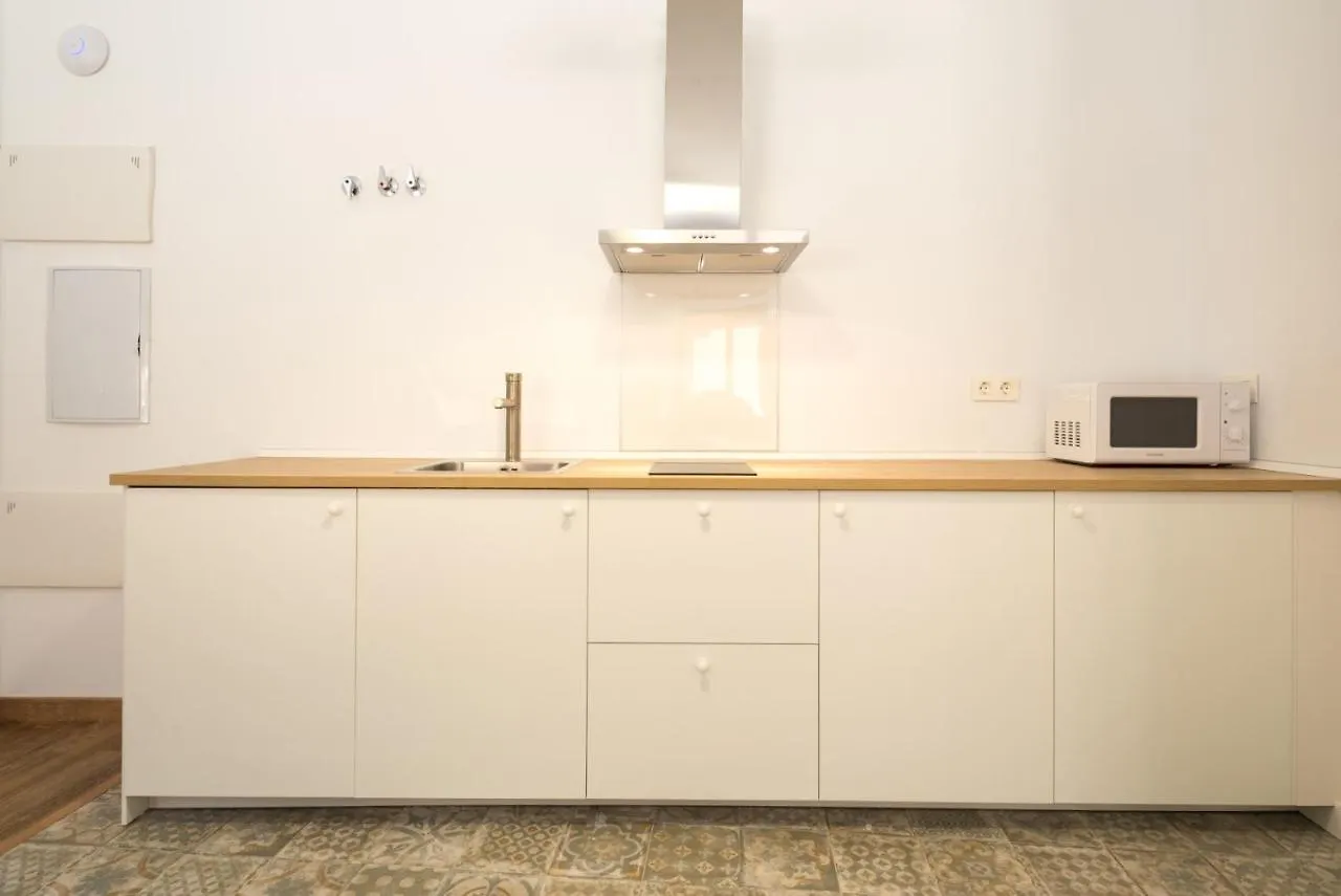 Santiago Premium Loft I Daire Málaga
