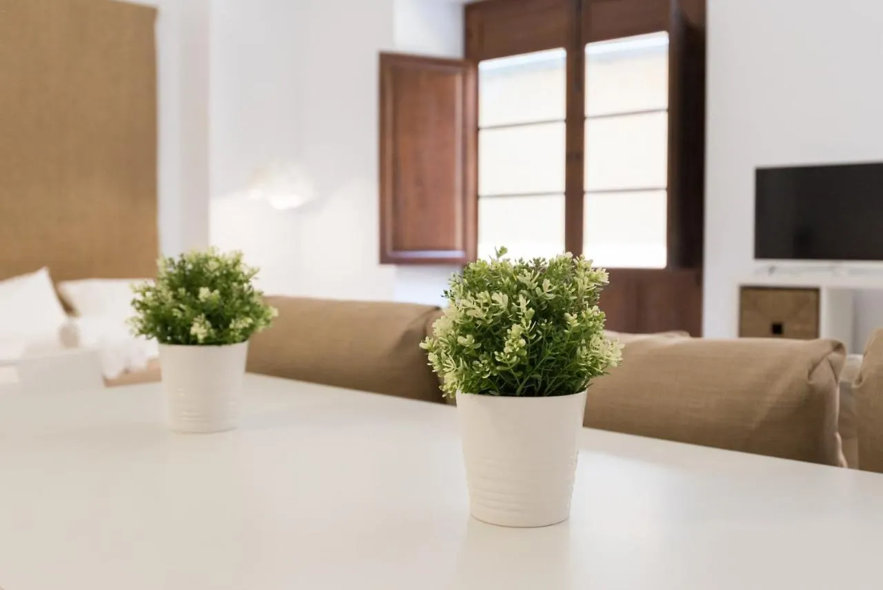 Santiago Premium Loft I Daire Málaga